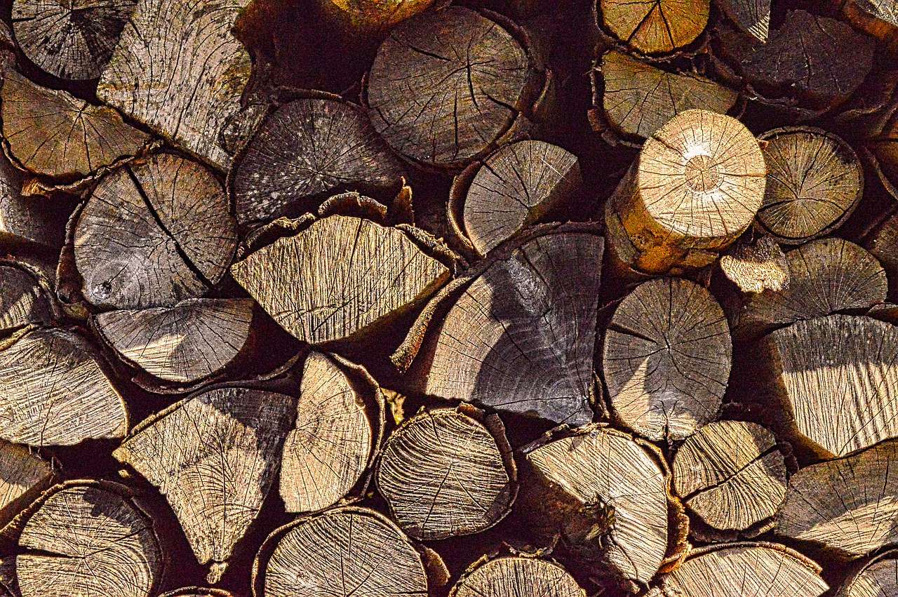 Czym kierować się przy wyborze składu drewna budowlanego?