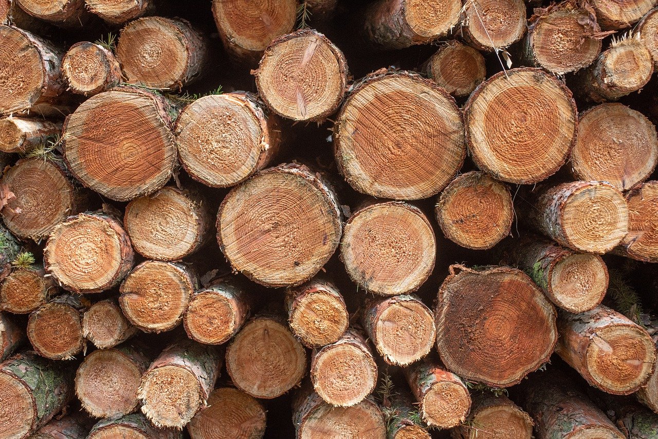 Gdzie najlepiej kupić drewno na zimę?